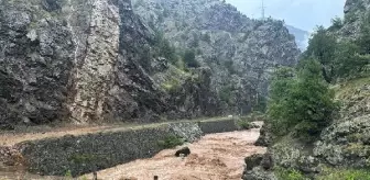 Artvin Şavşat'ta Heyelan: Karayolu Ulaşıma Kapandı