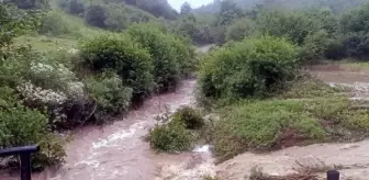Bolu'da Sağanak Sonucu Abant Gölü Milli Parkı Yolundaki Dere Taştı
