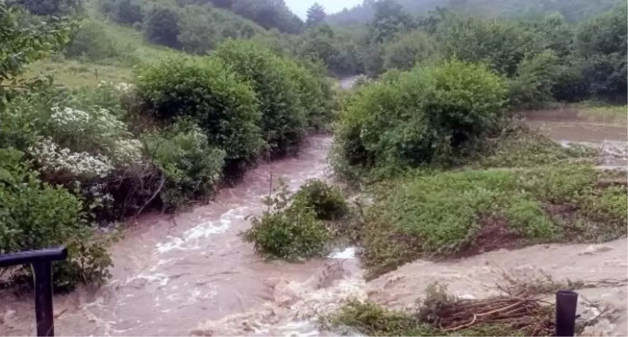 Bolu'da Sağanak Sonucu Abant Gölü Milli Parkı Yolundaki Dere Taştı