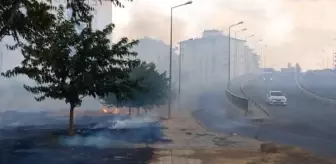 Diyarbakır'da Otluk Alanında Yangın Çıktı