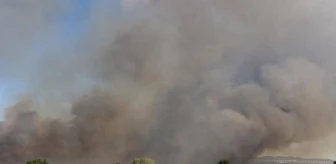 Keşan'da Buğday Ekili Arazide Yangın Çıktı