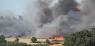 Keşan'da Buğday Ekili Arazide Yangın: 2 Bin Dönüm Alan Zarar Gördü