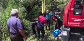 Kanalizasyon kuyusuna düşen inek itfaiye ekiplerince kurtarıldı