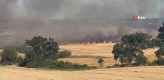 Keşan'da tarlada çıkan yangında 2 bin dönüme yakın arazi zarar gördü