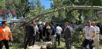 Kırkpınar Yağlı Güreşleri'nde ağaç devrildi, 2 kadın yaralandı