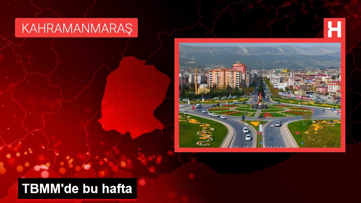 TBMM'de bu hafta