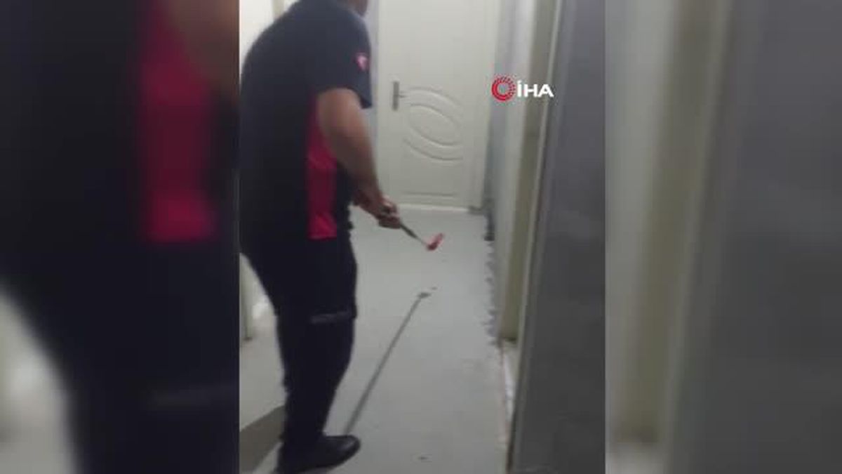 3 buçuk metrelik yılan apartmanda yakalandı