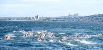Büyükçekmece'de 5. Körfez Açık Deniz Yüzme Yarışması Düzenlendi