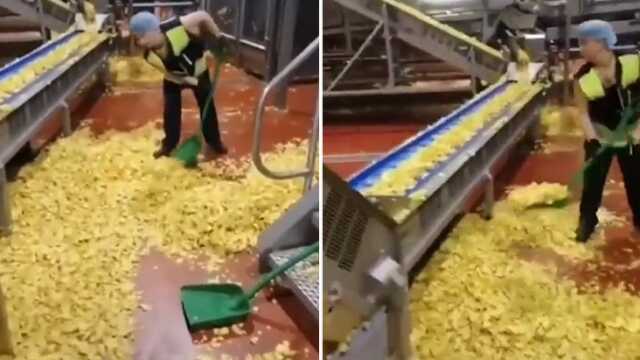 Cip fabrikasındaki görüntüler sosyal medyayı ayağa kaldırdı! Gerçek çok farklı çıktı