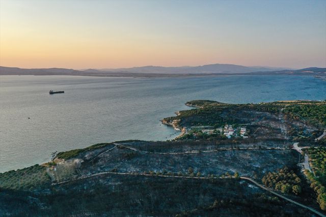 İzmir Aliağa'da çıkan orman yangını kontrol altına alındı