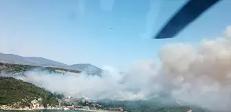 İzmir'de Aliağa ve Menderes'te Orman Yangınlarına Müdahale Ediliyor