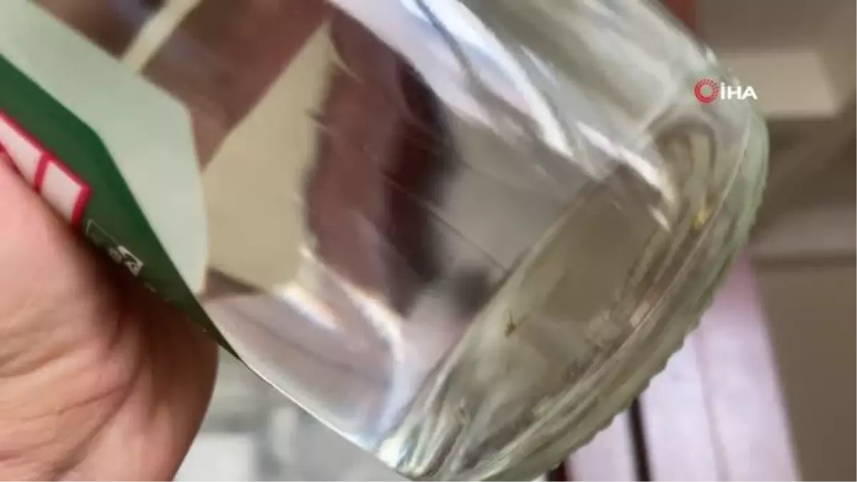 Kapalı içki şişesinin içinden sinek çıktı