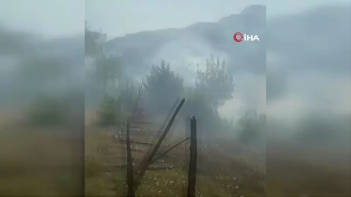 Adana'da ikinci orman yangını, ekipler müdahaleye başladı