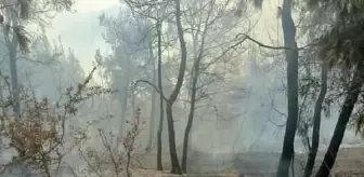 İki yangın kontrol altına alındı