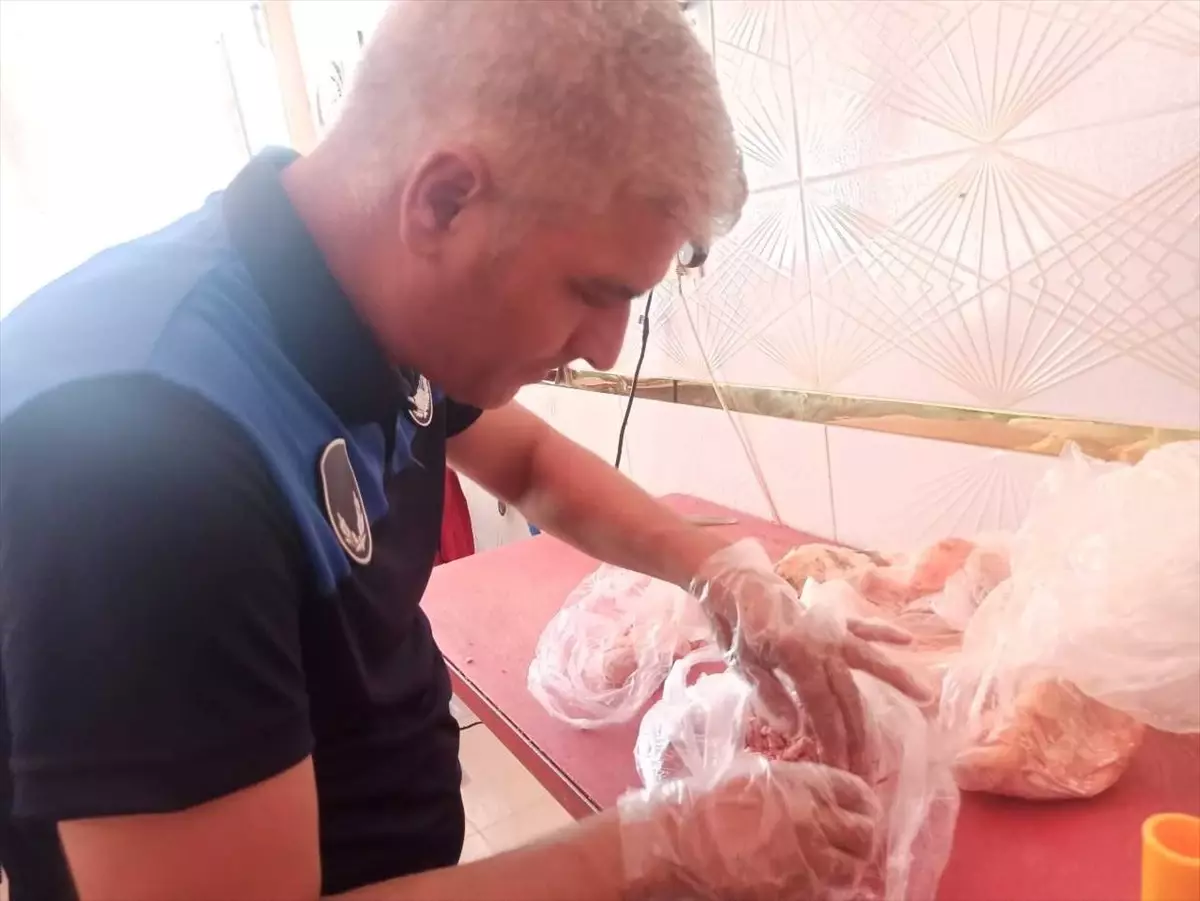 Şanlıurfa'da 100 Kilogram Bozuk Sakatat İmha Edildi