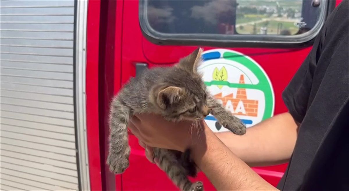 Erbaa'da aracın motoruna giren kedi yavrusu itfaiye tarafından kurtarıldı