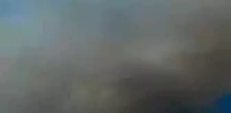 Adana'da Orman Yangını Çıktı