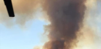 Adana'da Orman Yangınına Havadan ve Karadan Müdahale