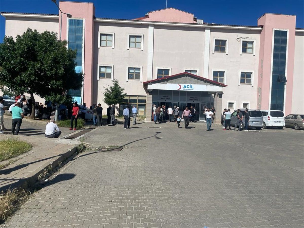 Bingöl'ün Karlıova ilçesinde otomobilin çarptığı 5 yaşındaki kız çocuğu hayatını kaybetti