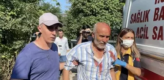 Bursa'da ormanda kayalıklardan düşen kişi yaralandı