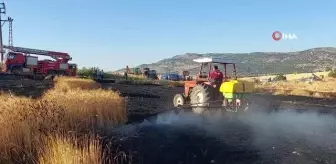 Elektrik direğinden çıkan yangında 8 dönüm arazi kül oldu