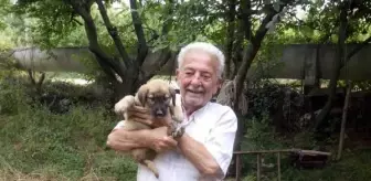 Antalya'da Yangında Bir Kişi Hayatını Kaybetti
