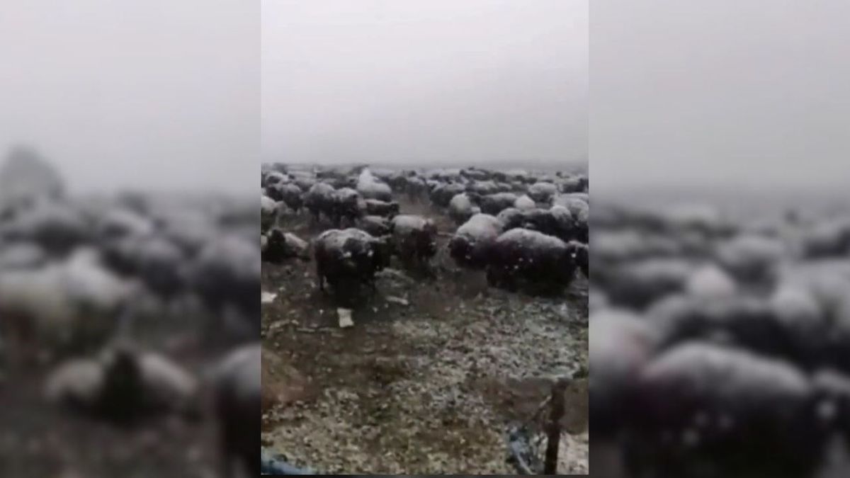 Nerede kar yağıyor? Bugün nerede, hangi şehirde kar yağdı?