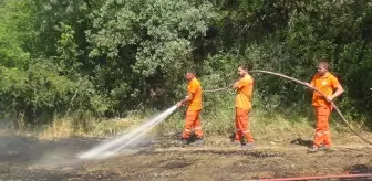 Taraklı'da çıkan yangın kontrol altına alındı