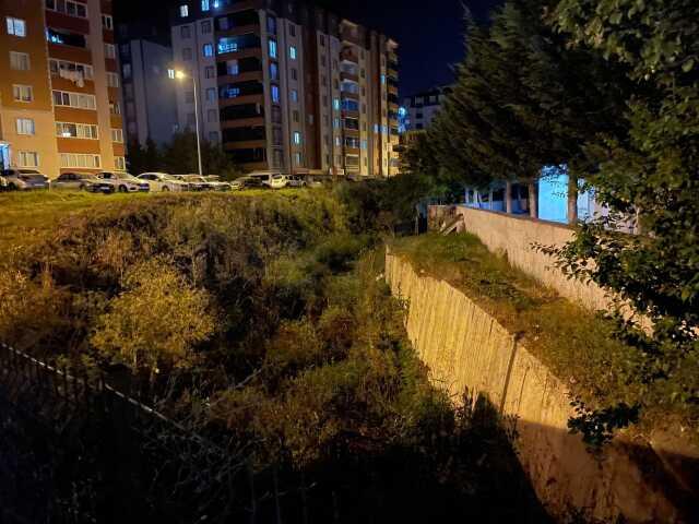 Tekirdağ'da ıslah edilmeyen dere yatağı yılanların ve kurbağaların yuvası oldu Tekirdağ'da ıslah edilmeyen dere yatağı yılanların ve kurbağaların yuvası oldu