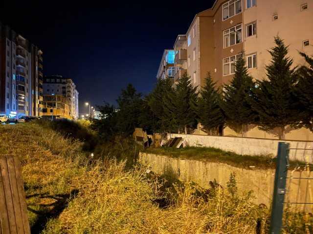 Tekirdağ'da ıslah edilmeyen dere yatağı yılanların ve kurbağaların yuvası oldu Tekirdağ'da ıslah edilmeyen dere yatağı yılanların ve kurbağaların yuvası oldu