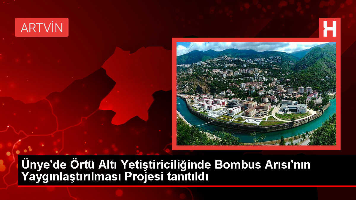 Ünye'de Bombus Arısı Projesi Tanıtıldı