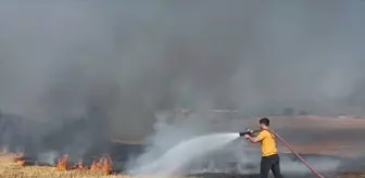 Mustafakemalpaşa'da Buğday Tarlasında Yangın