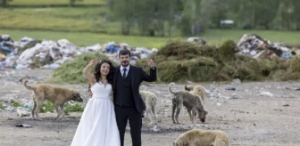 Felçli Köpeğe Yürüteç Yapan Çilingirle Evlendi