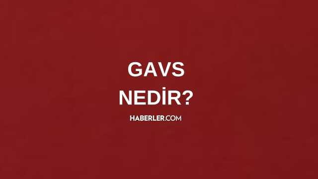 Gavs ne demek? Gavs nedir? Gavs ne anlama gelir?