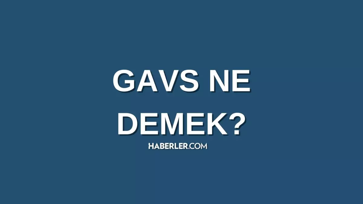 Gavs ne demek? Gavs nedir? Gavs ne anlama gelir?