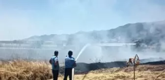 Gaziantep'te anız yangınında 45 dönüm alan ve ağaçlar zarar gördü