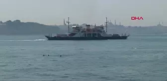 İstanbul'da Sıcak Hava Nedeniyle Vatandaşlar Park ve Sahillere Akın Etti