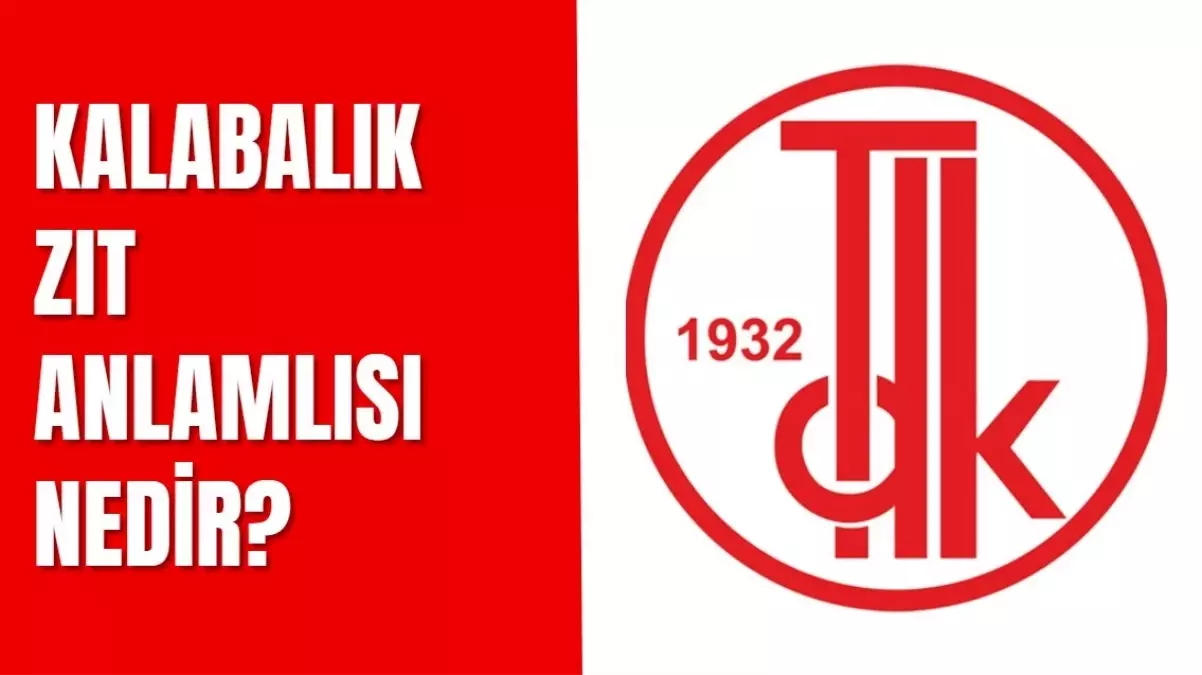 Kalabalık zıt anlamlısı nedir? Kalabalık kelimesinin zıt anlamlısı hangi kelimelerdir?