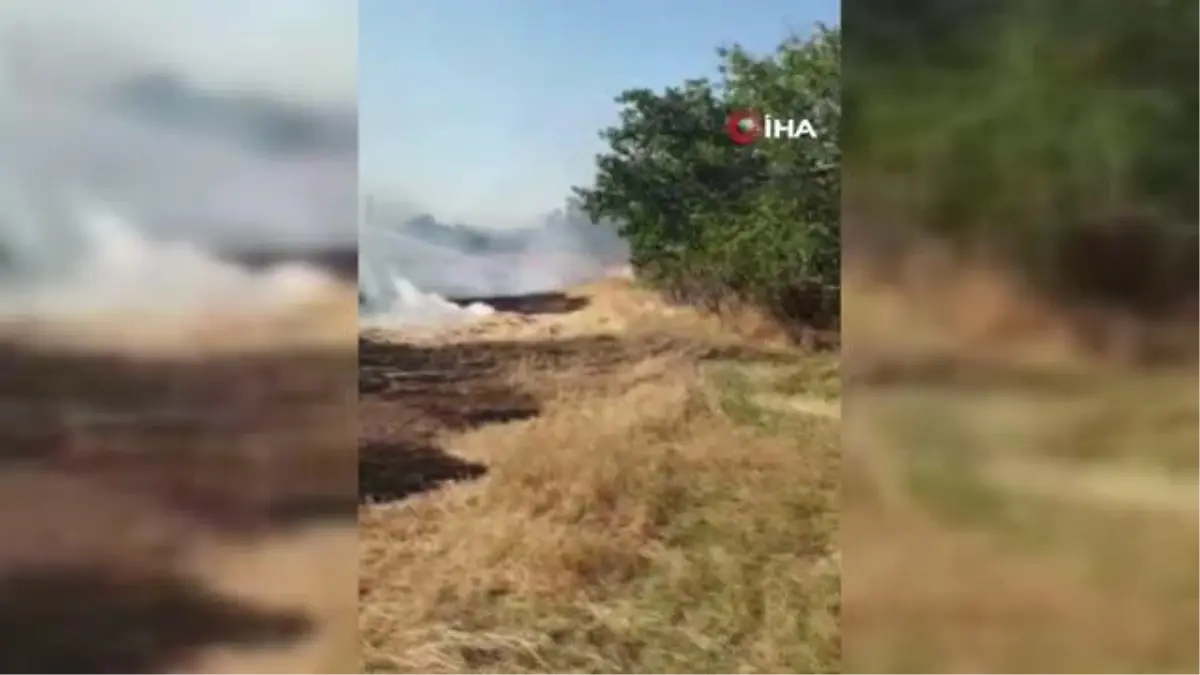 Konya'da arpa tarlasında yangın