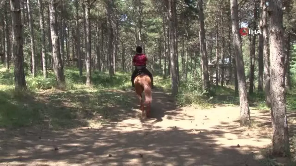 Maltepe'de orman yangınlarına karşı denetim