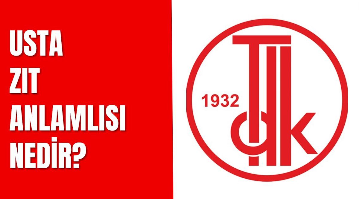 Usta zıt anlamlısı nedir? Usta kelimesinin zıt anlamlısı hangi kelimelerdir?