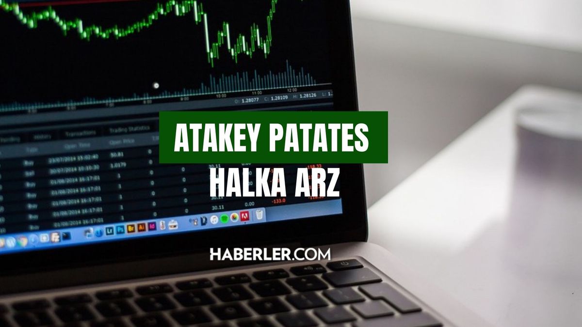 Atakey Patates halka arz ne zaman işlem görecek? Atakey Patates halka arz kaç lot verir? Atakey Patates halka arz enerji oransal mı?
