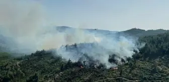 Balıkesir Dursunbey'de Orman Yangını