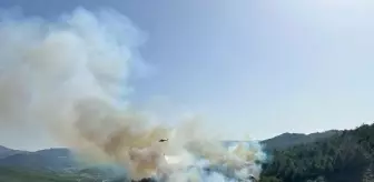 Balıkesir'de orman yangını (2)