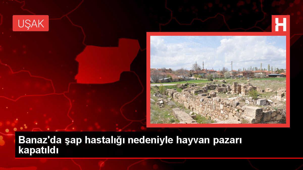 Uşak'ın Banaz ilçesinde hayvan pazarı şap hastalığı nedeniyle kapatıldı