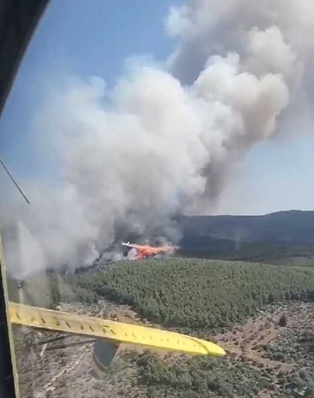 Bodrum'da orman yangını! Havadan ve karadan müdahale ediliyor