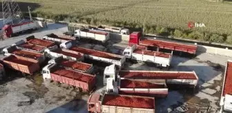 Depremle enkaza dönen kentte üretilen salça, ABD ve Almanya başta olmak üzere 20 ülkeye ihraç ediliyor