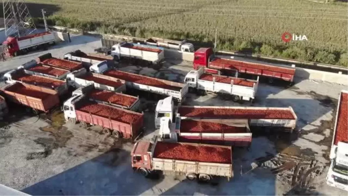 Depremle enkaza dönen kentte üretilen salça, ABD ve Almanya başta olmak üzere 20 ülkeye ihraç ediliyor