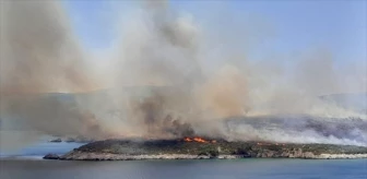 İzmir Urla'da çıkan yangına havadan ve karadan müdahale başlatıldı