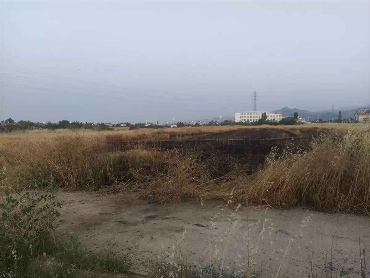 Seydişehir'de Arpa Tarlasında Yangın: 2 Dönüm Alan Zarar Gördü